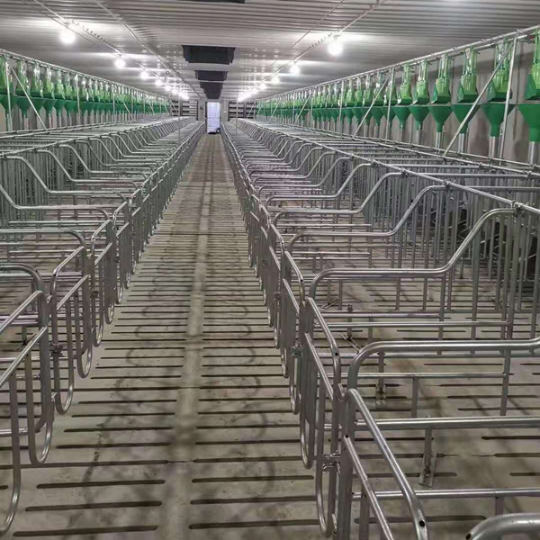 五金制品養(yǎng)殖場(chǎng)飼料輸送管道使用場(chǎng)景
